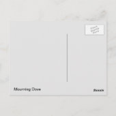 Mourning Dove Briefkaart (Achterkant)