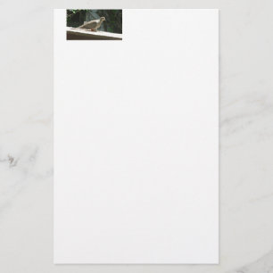 Mourning Dove Briefpapier