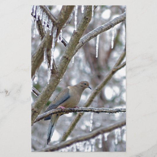 Mourning Dove Briefpapier (Voorkant)