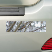Mourning Dove Bumpersticker (Op auto)