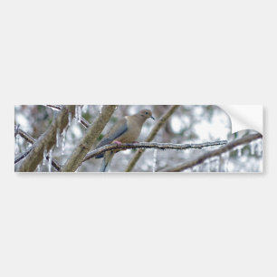 Mourning Dove Bumpersticker