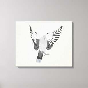 Mourning Dove Canvas Afdruk
