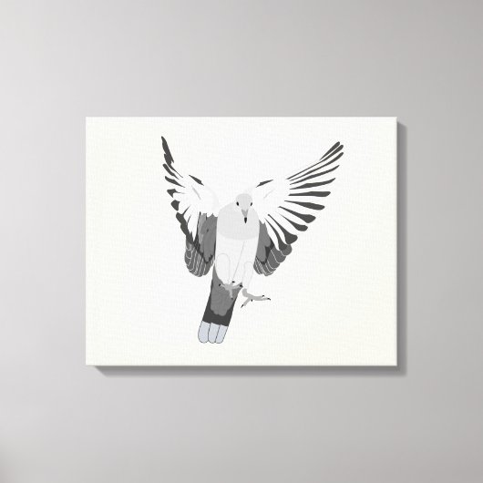 Mourning Dove Canvas Afdruk (Voorkant)