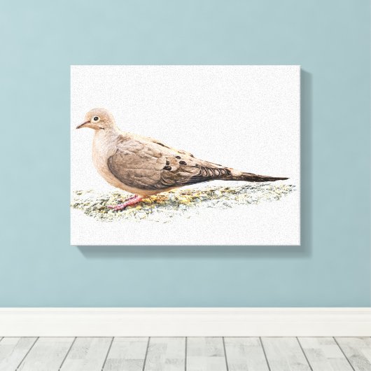 Mourning Dove Canvas Afdruk (Insitu (Houten vloer))