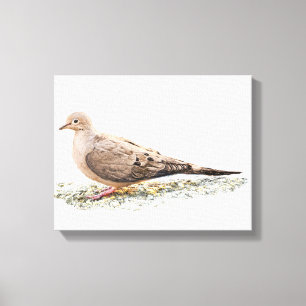 Mourning Dove Canvas Afdruk