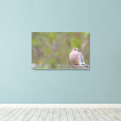 Mourning Dove Canvas Afdruk (Insitu (Houten vloer))