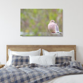 Mourning Dove Canvas Afdruk (Insitu (Slaapkamer))
