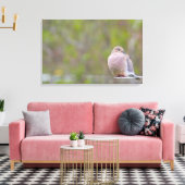 Mourning Dove Canvas Afdruk (Insitu (Woonkamer))