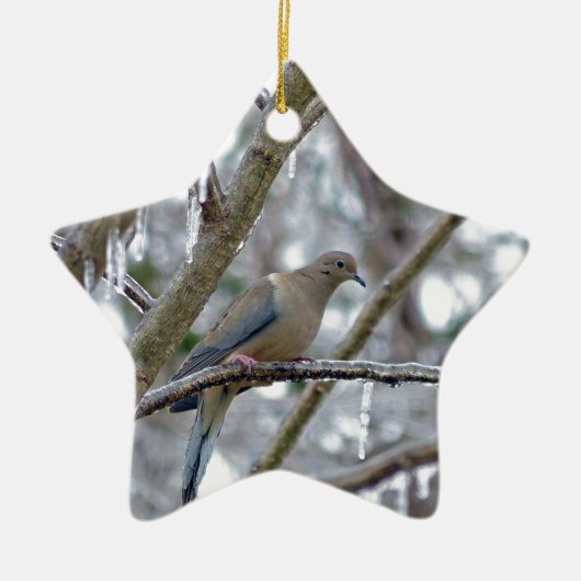Mourning Dove Ceramic Ornament (Voorkant)
