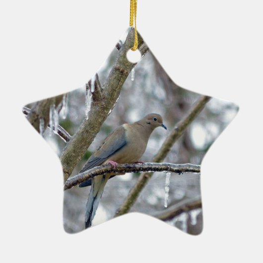 Mourning Dove Ceramic Ornament (Achterkant)