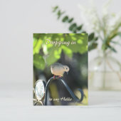 Mourning Dove Dropping in to Say Hello Briefkaart (Staand voorkant)
