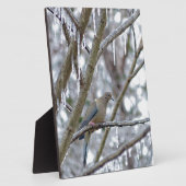 Mourning Dove Fotoplaat (Zijkant)