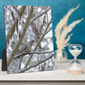 Mourning Dove Fotoplaat (Zijkant)