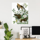 Mourning Dove, John James Audubon Fine Art Poster (Thuiskantoor)