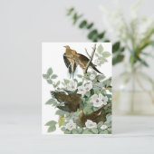 Mourning Dove, John James Audubon Fine Briefkaart (Staand voorkant)