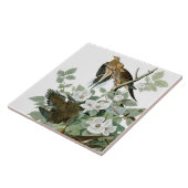 Mourning Dove, John James Audubon Tegeltje (Zijkant)