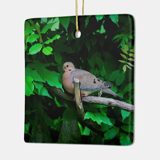 Mourning Dove Keramisch Ornament (Links)