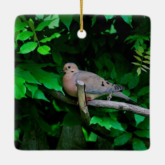 Mourning Dove Keramisch Ornament (Achterkant)