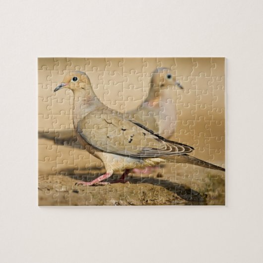 Mourning Dove Legpuzzel (Horizontaal)