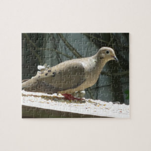 Mourning Dove Legpuzzel