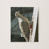 Mourning Dove Legpuzzel (Verticaal)
