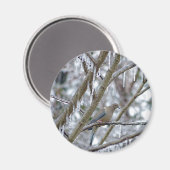 Mourning Dove Magneet (Voorkant / Achterkant)