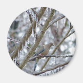 Mourning Dove Magneet (Voorkant)