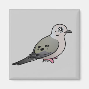 Mourning Dove Magneet