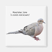 Mourning Dove Magneet (Voorkant)