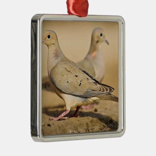 Mourning Dove Metalen Ornament (Rechts)