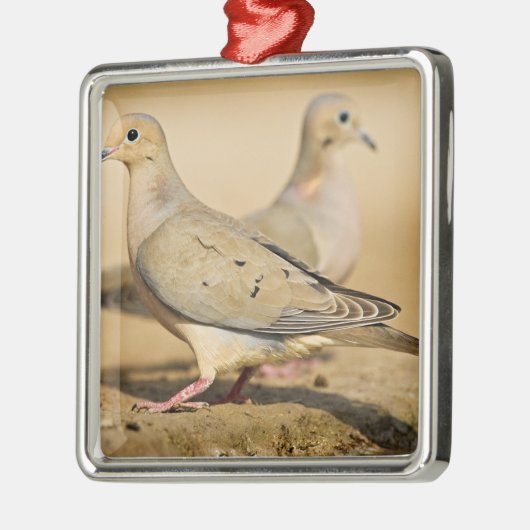 Mourning Dove Metalen Ornament (Links)