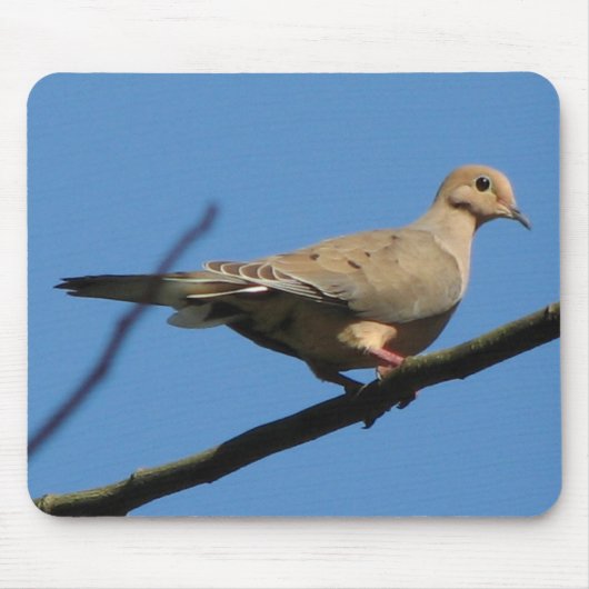 Mourning Dove Mousepad Muismat (Voorkant)