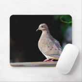 Mourning Dove Muismat (Met muis)