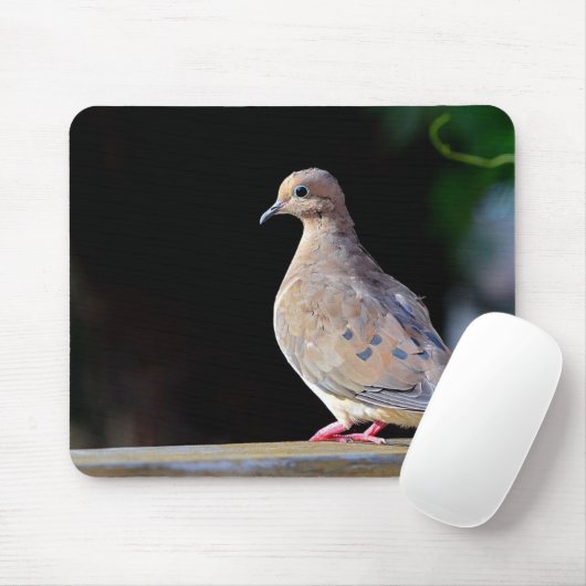 Mourning Dove Muismat (Met muis)