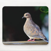 Mourning Dove Muismat (Voorkant)