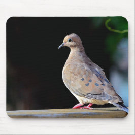 Mourning Dove Muismat