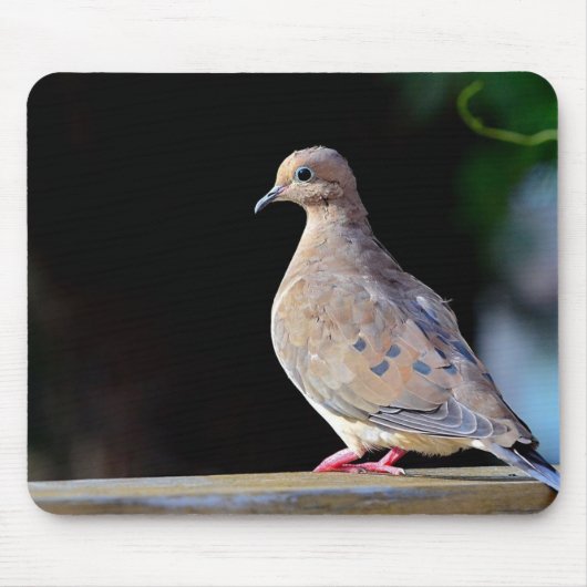 Mourning Dove Muismat (Voorkant)