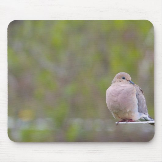 Mourning Dove Muismat (Voorkant)
