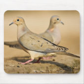 Mourning Dove Muismat (Voorkant)