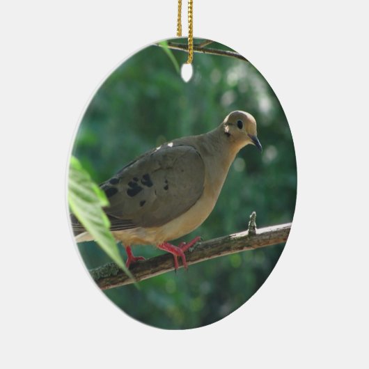 Mourning Dove ~ ornament (Rechts)