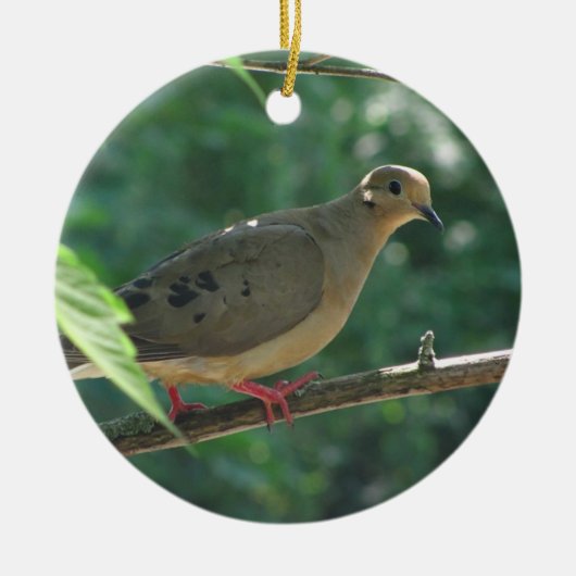 Mourning Dove ~ ornament (Voorkant)