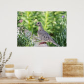 Mourning Dove Poster (Keuken)