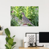 Mourning Dove Poster (Thuiskantoor)