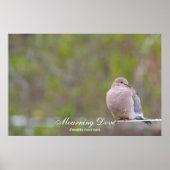 Mourning Dove Poster (Voorkant)