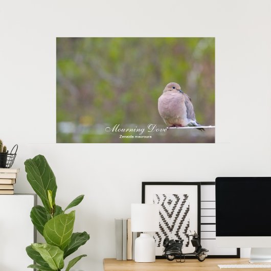 Mourning Dove Poster (Thuiskantoor)