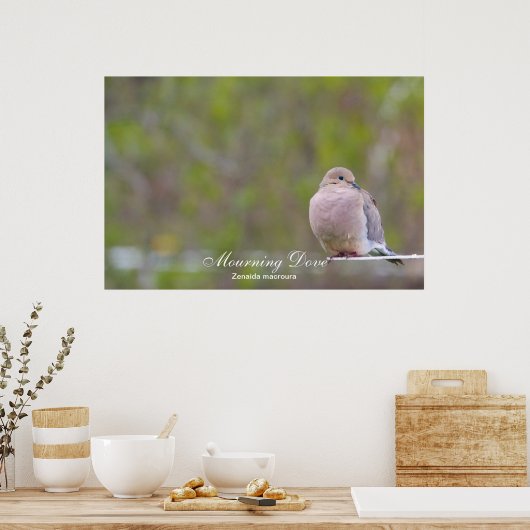 Mourning Dove Poster (Keuken)