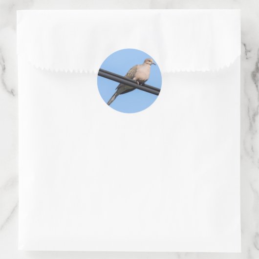Mourning Dove Ronde Sticker (Tas)