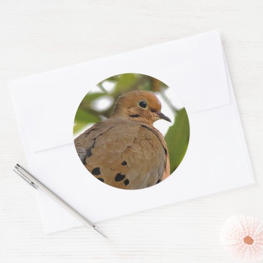 Mourning Dove Ronde Sticker (Envelop)