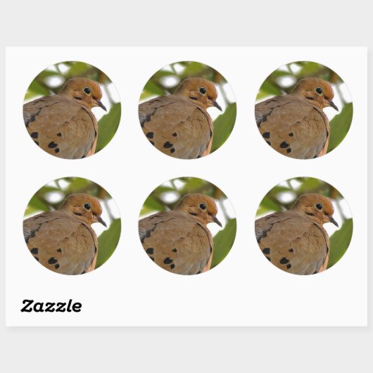 Mourning Dove Ronde Sticker (Vel)