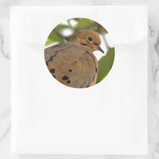 Mourning Dove Ronde Sticker (Tas)